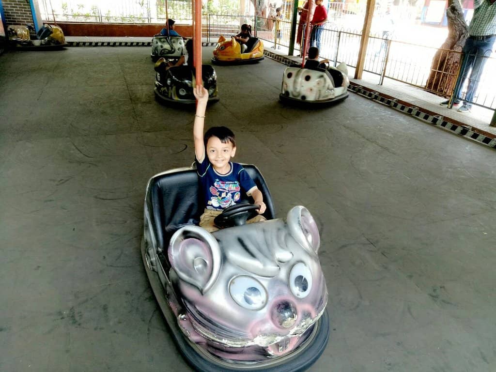 Amusement Park Rides