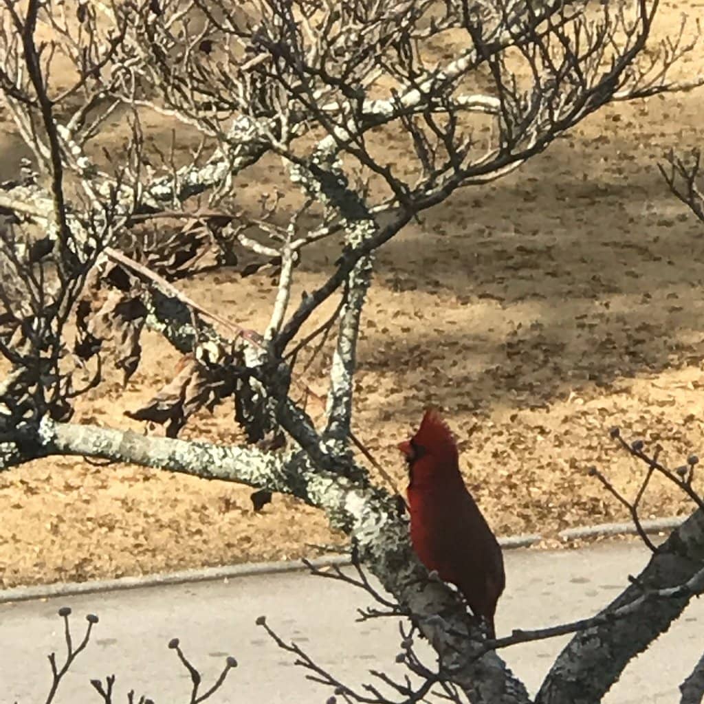 Historic Architecture