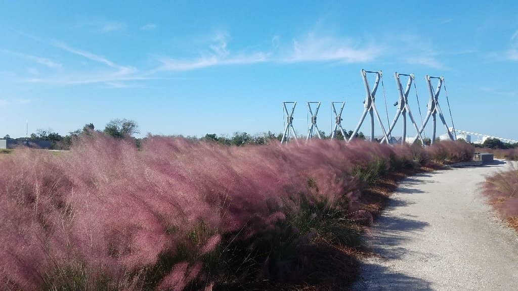 Noisette Creek Pedestrian Bridge