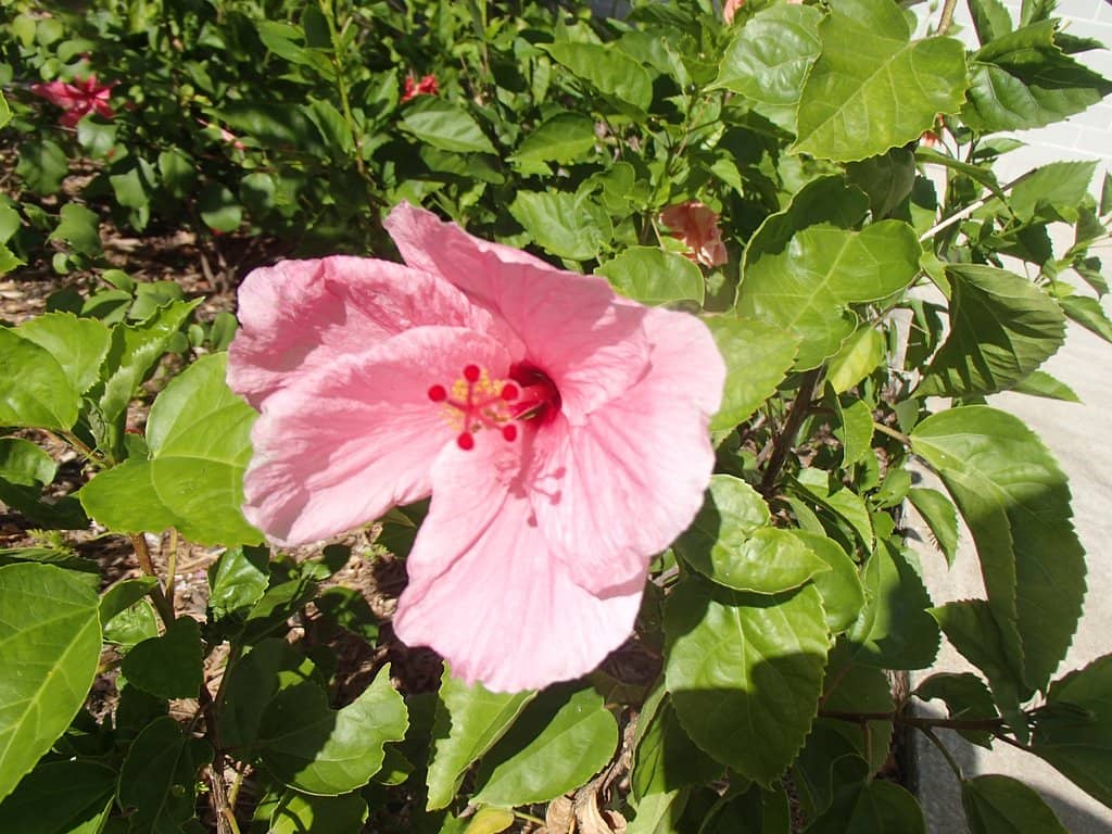 Diverse Visitor Culture