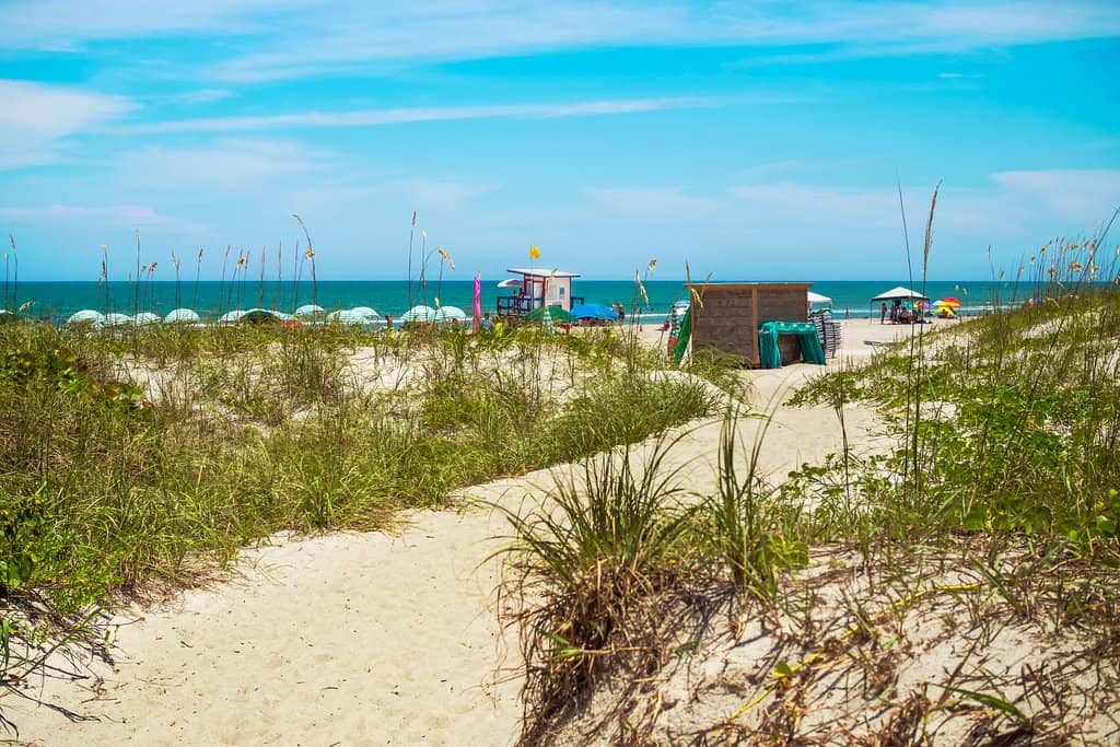 Picnic & Event Spaces