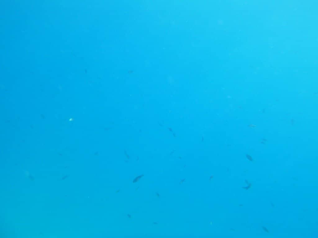 Crystal Clear Turquoise Waters