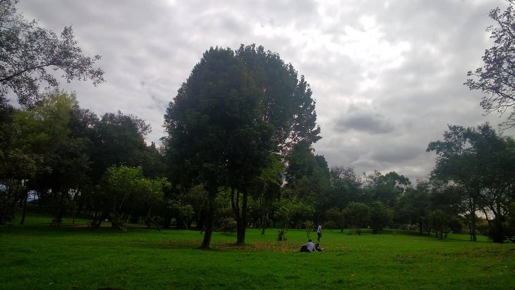 Expo Simón: Niño a Libertador