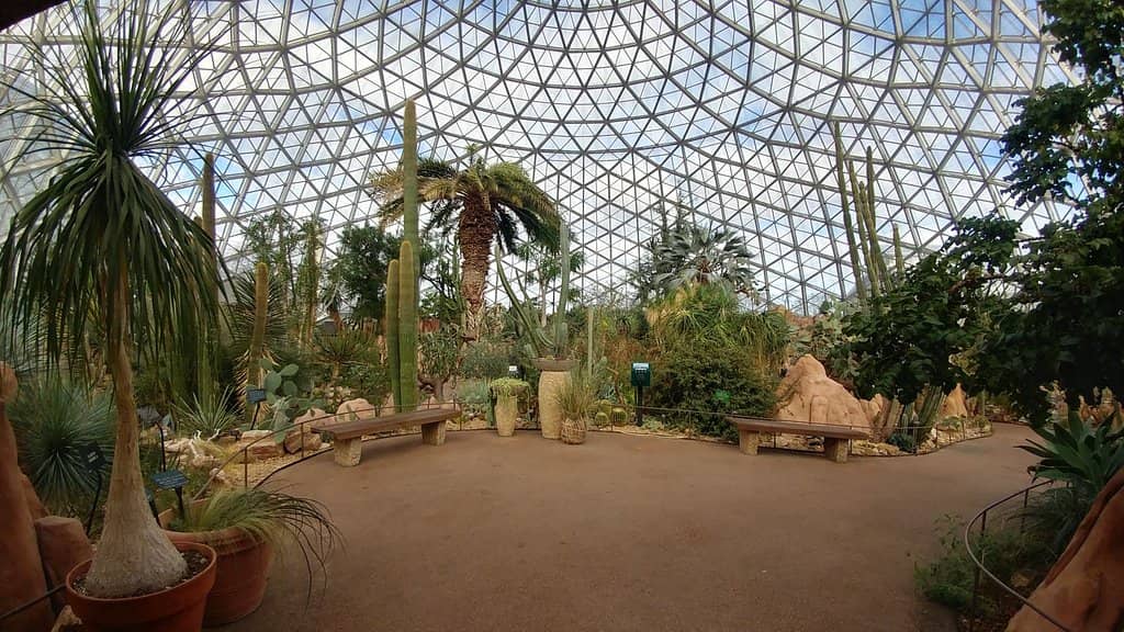Desert Dome