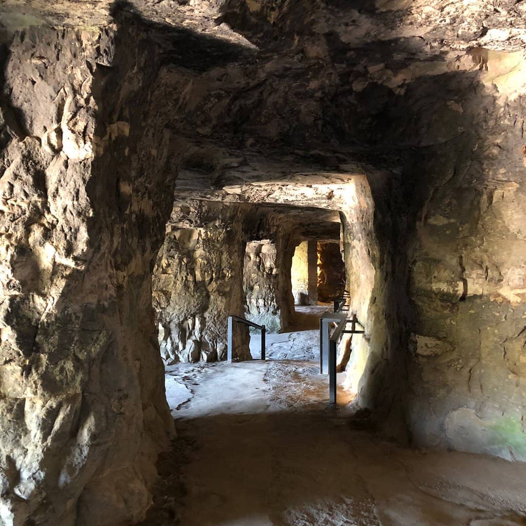 Panoramic City Views