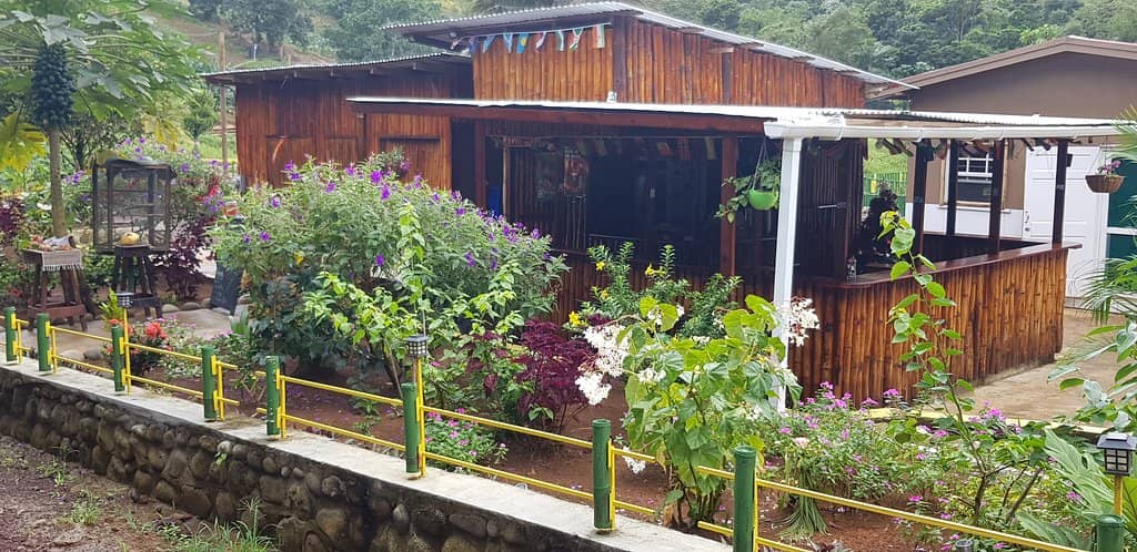 Misty Hillside Vistas