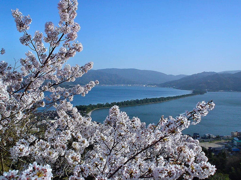 Rhine River Panorama