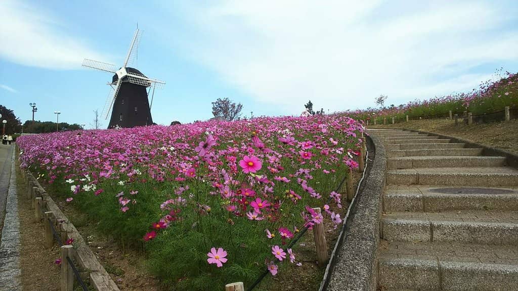 Sports and Recreation Facilities