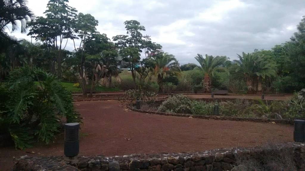 Yoga and Fitness Spots