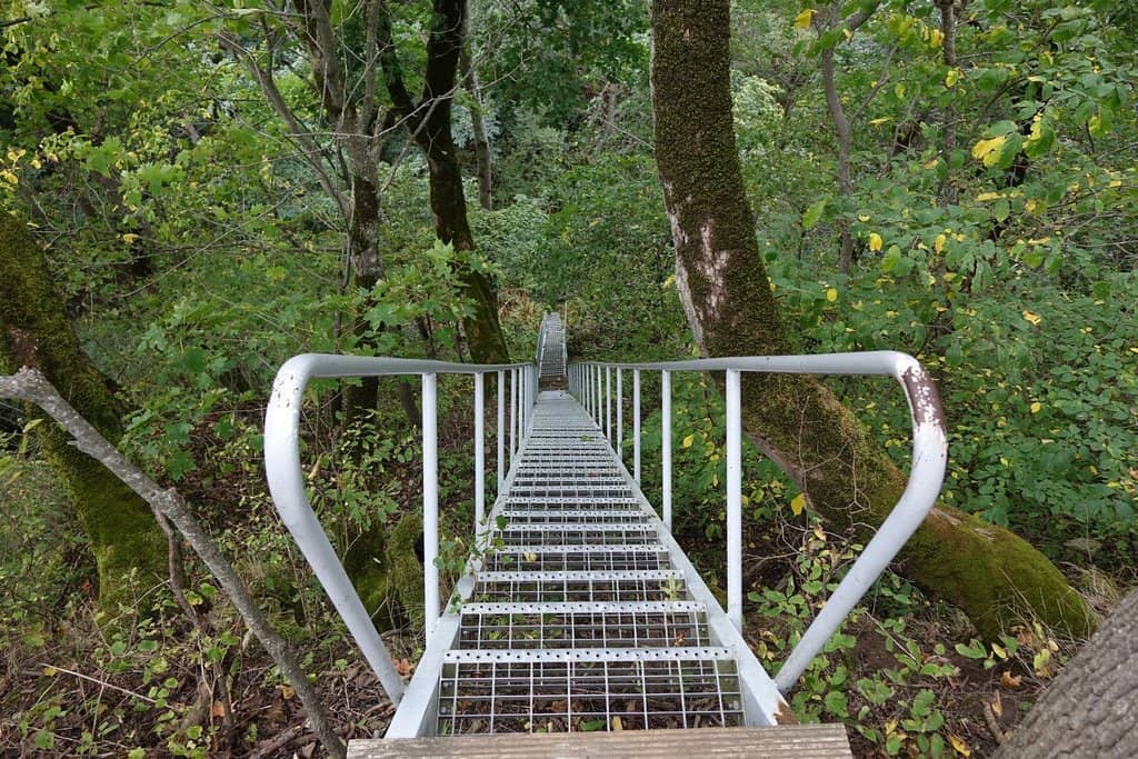 Vertical photo