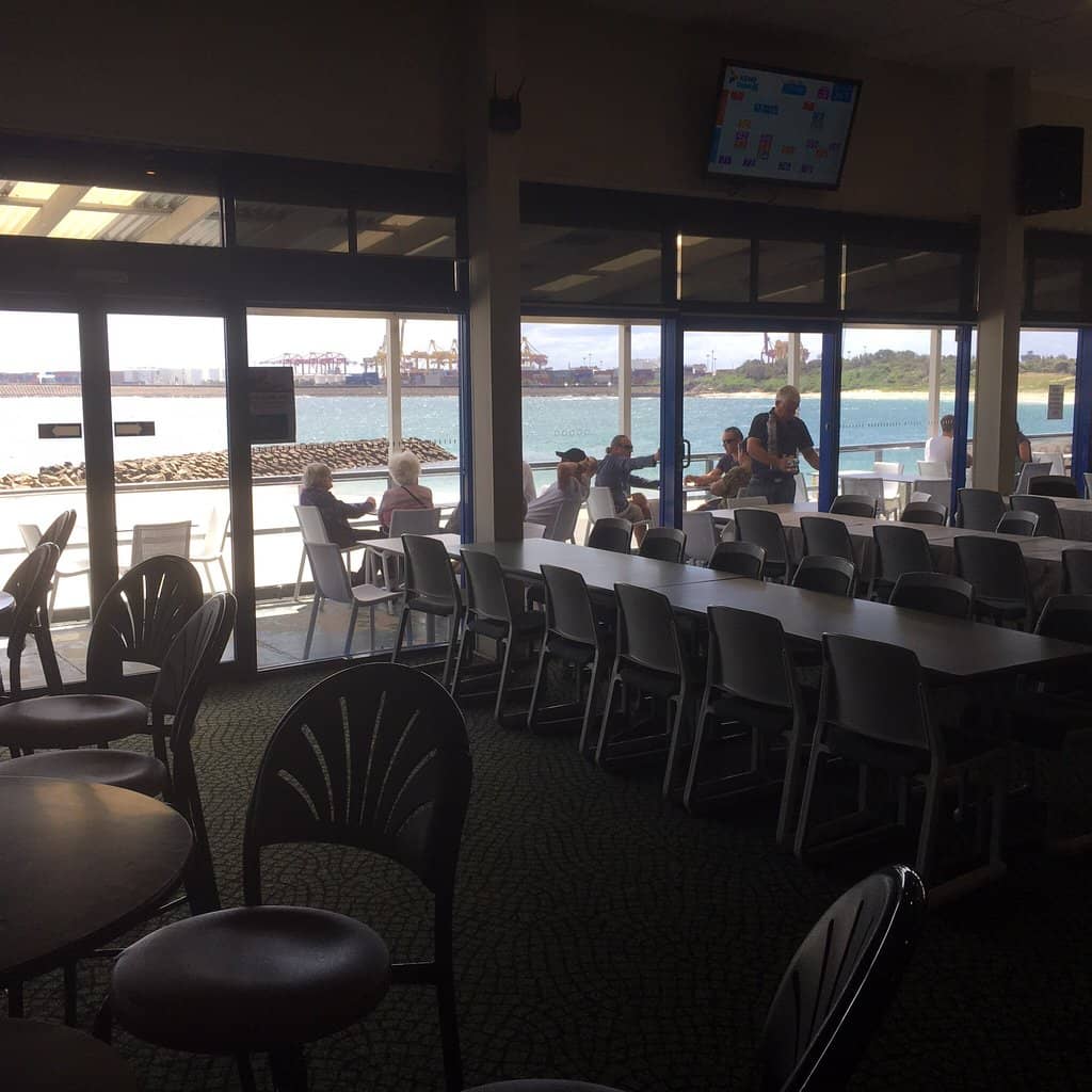 Shell Collecting Paradise