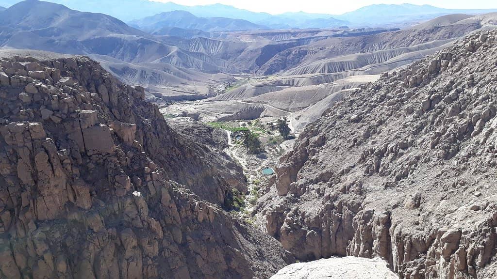 Invernadero Cultivation