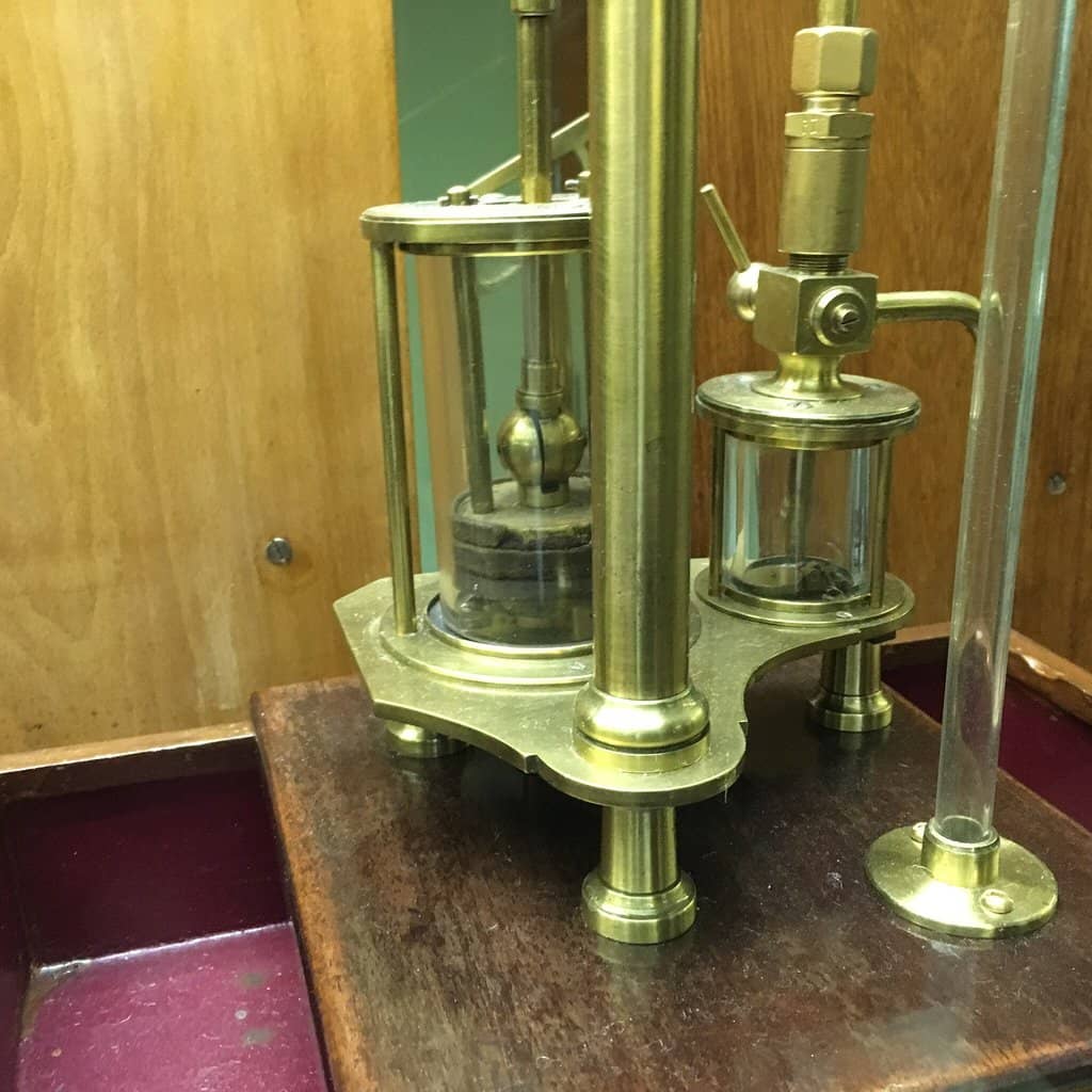 Taxidermied Fauna & Geological Specimens