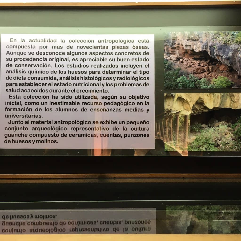 Physics & Natural Sciences Collections