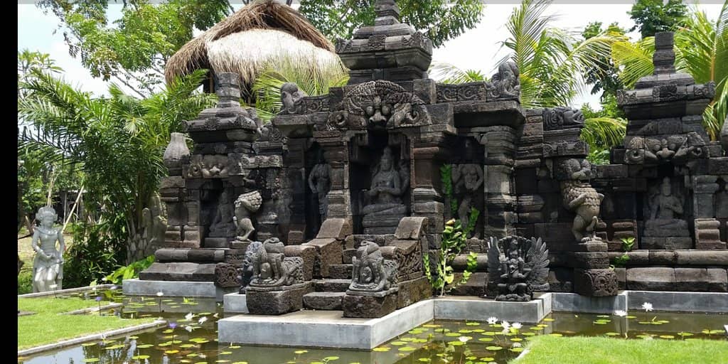 Animal Interaction Zone