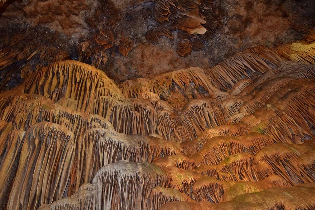 Black Light Experience