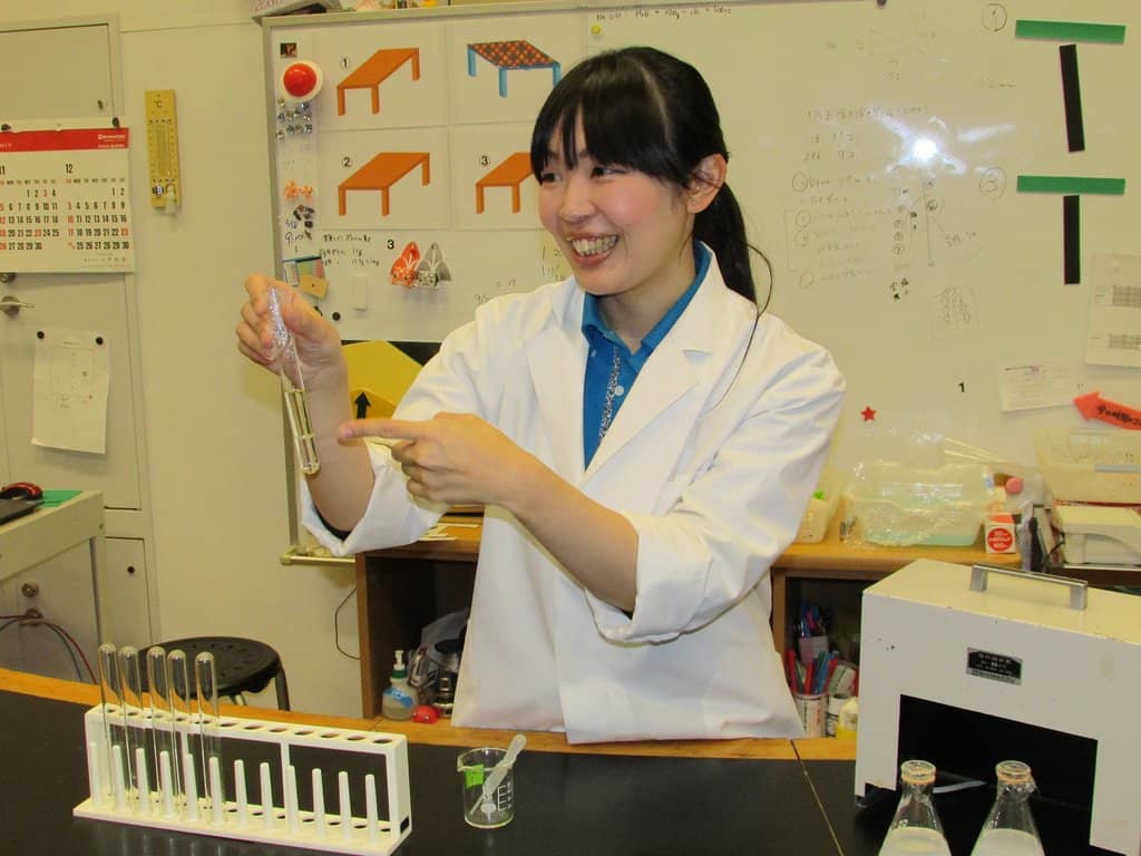 Flight Simulators & Zipline