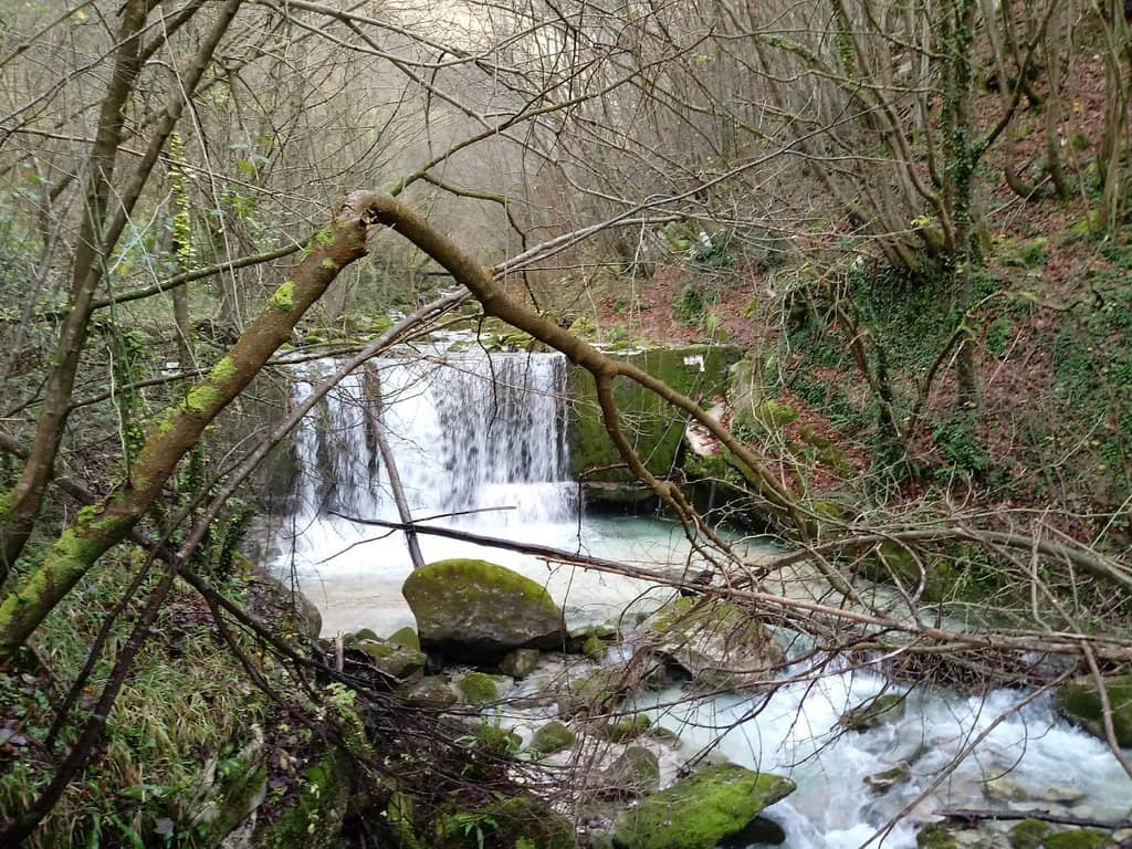 Guided Tour Registration