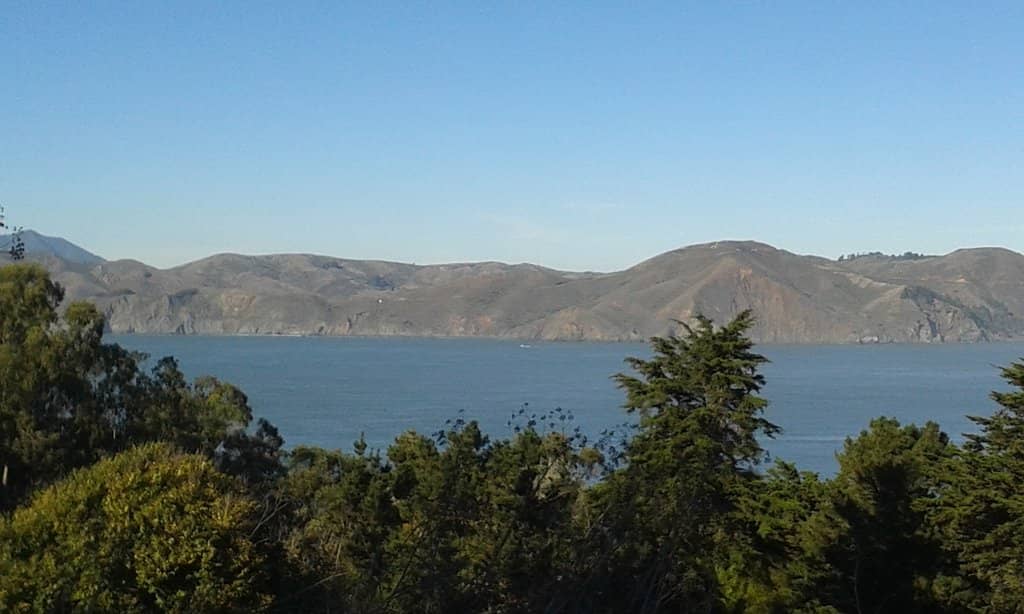 Guo Pei: Couture Fantasy