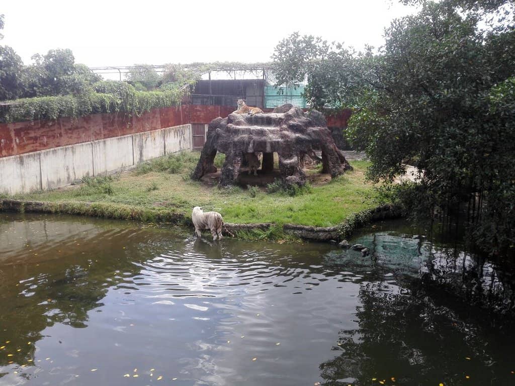 Regional History Museum