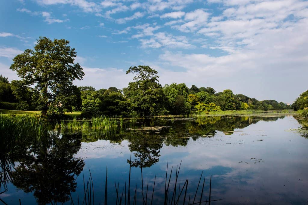 Strangford Lough Shoreline