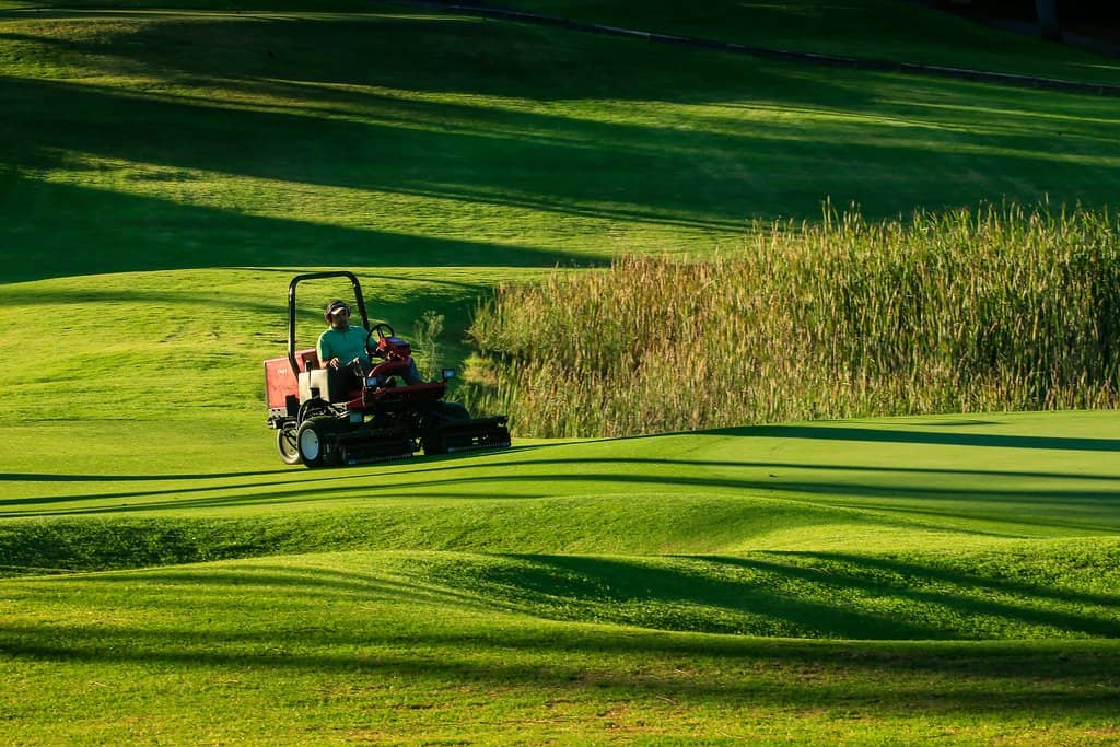 Pristine Fairways and Greens