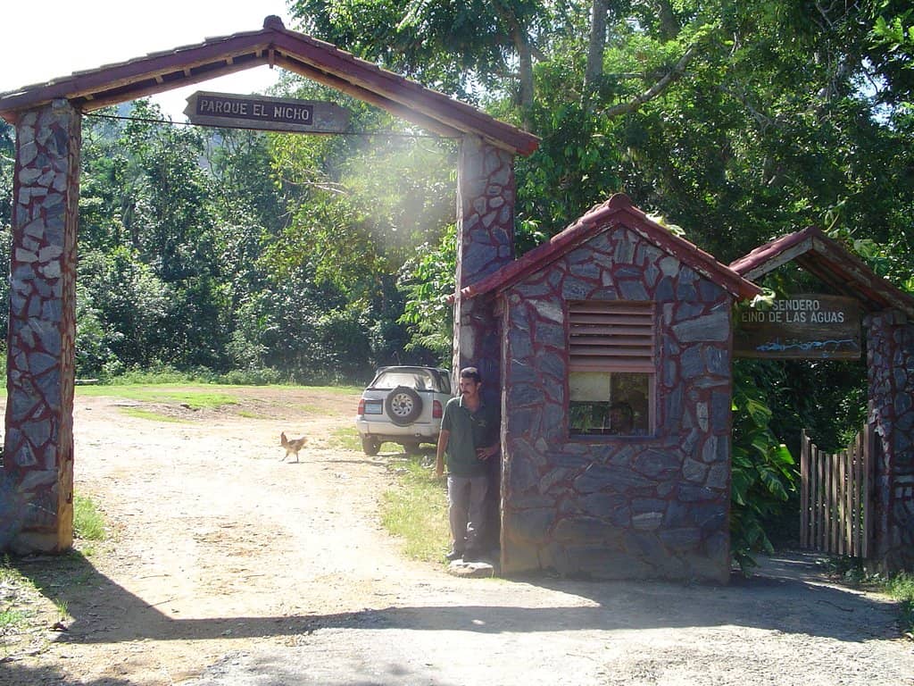 Cascading Waterfalls