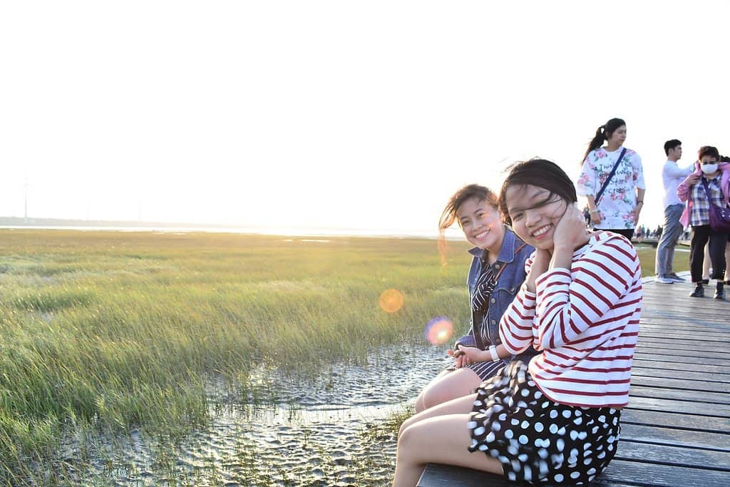 Wind Turbine Landscape