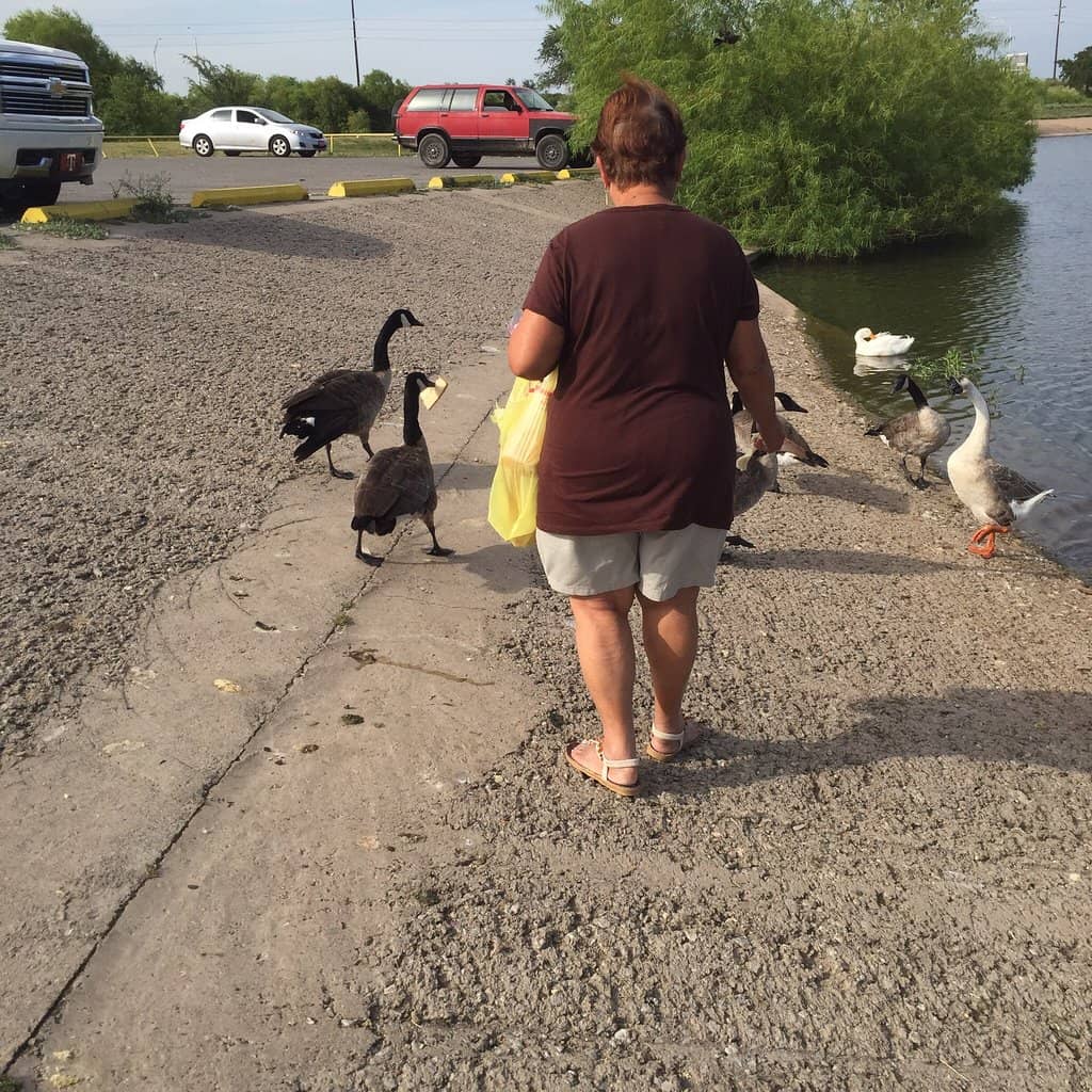 Beach and Water Slide Fun