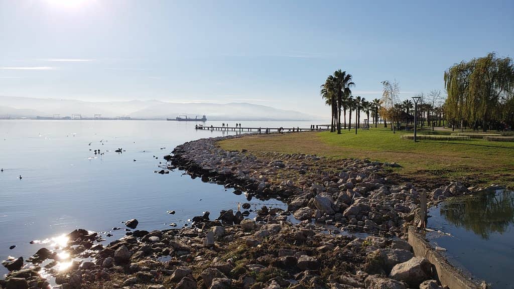 Children's Playgrounds