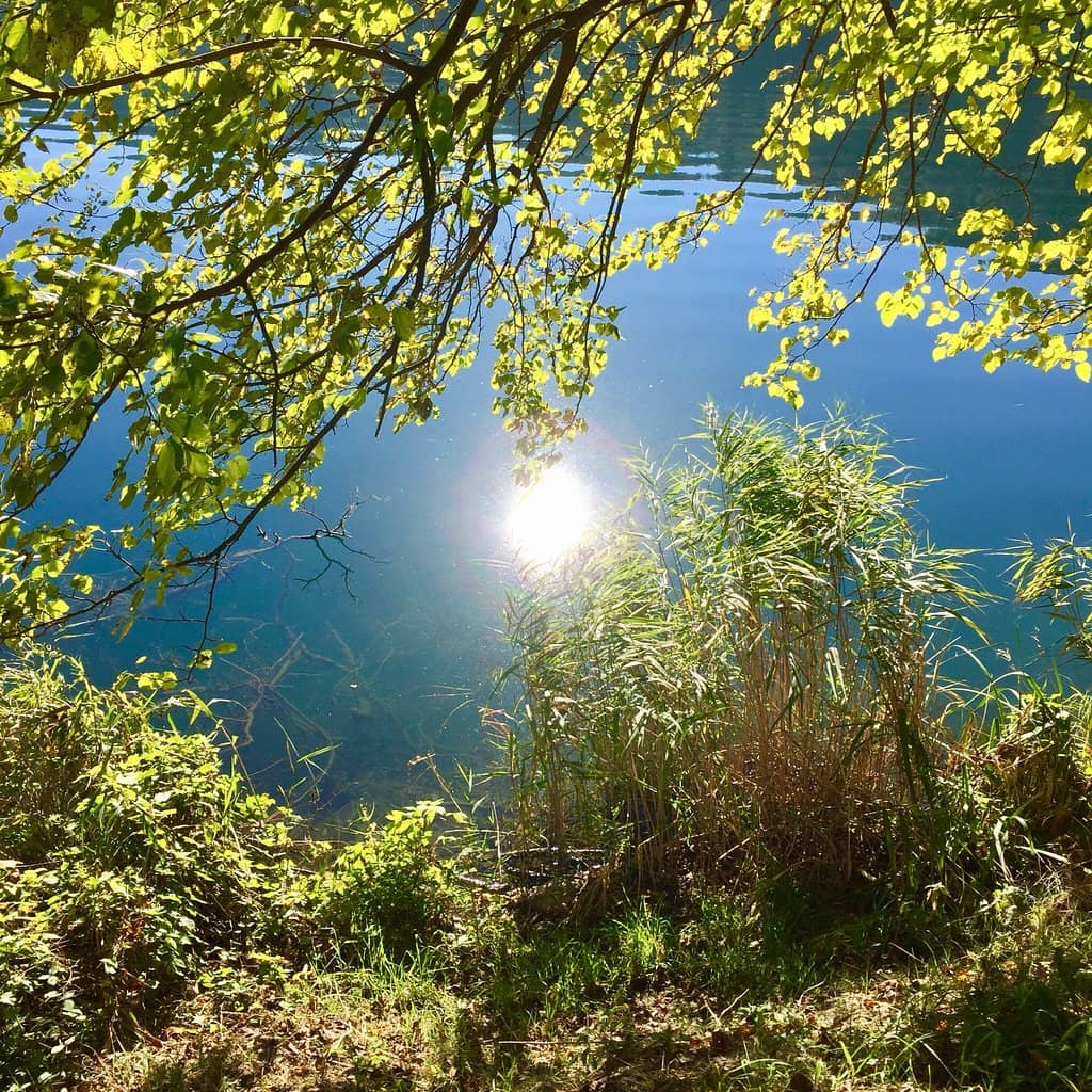 The Enchanting Walking Path