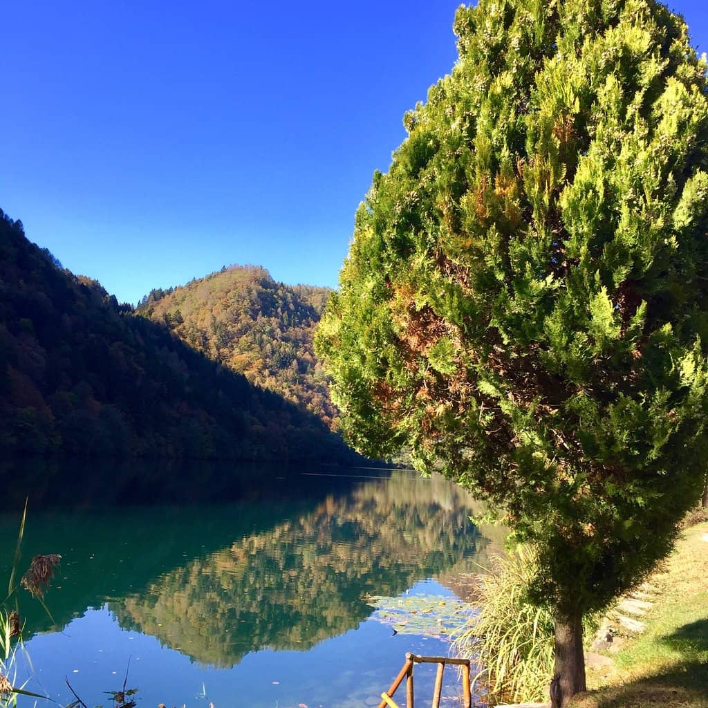 Mountain-Framed Views