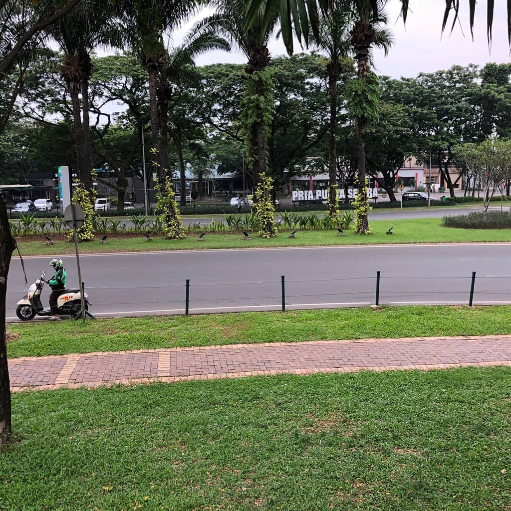 Diverse Culinary Scene