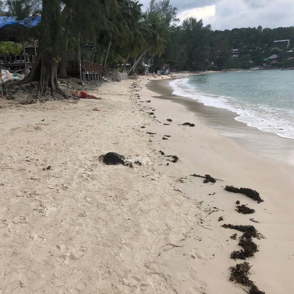Beachfront Bungalows & Bars