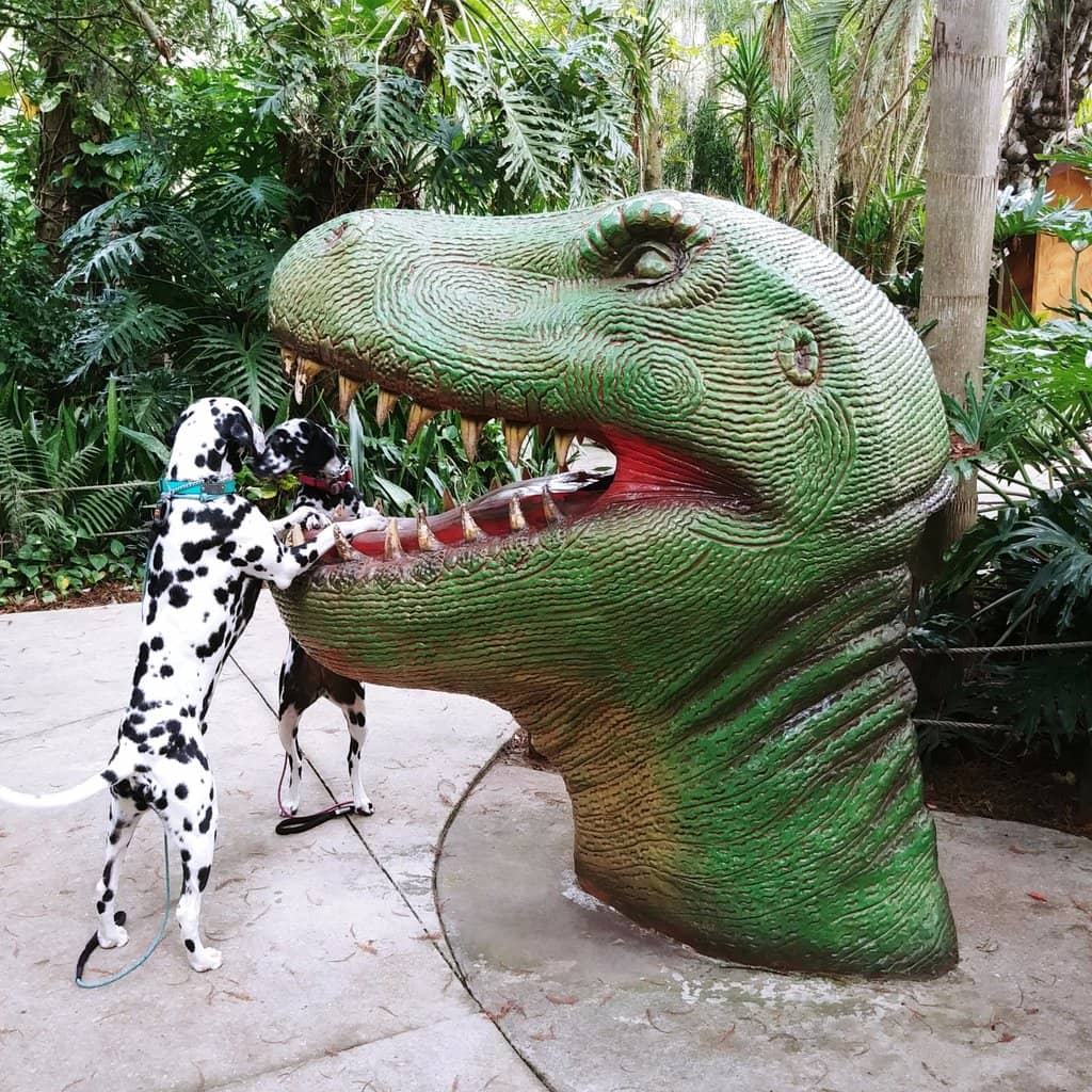 Playgrounds & Splash Pad