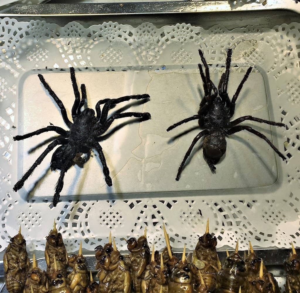 Foot Massages and Dental Services