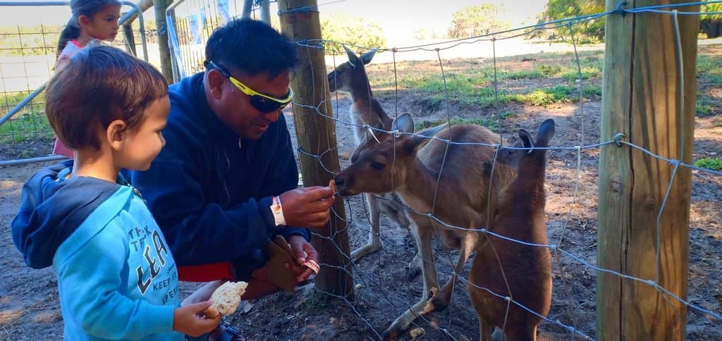 Photo Opportunities Galore