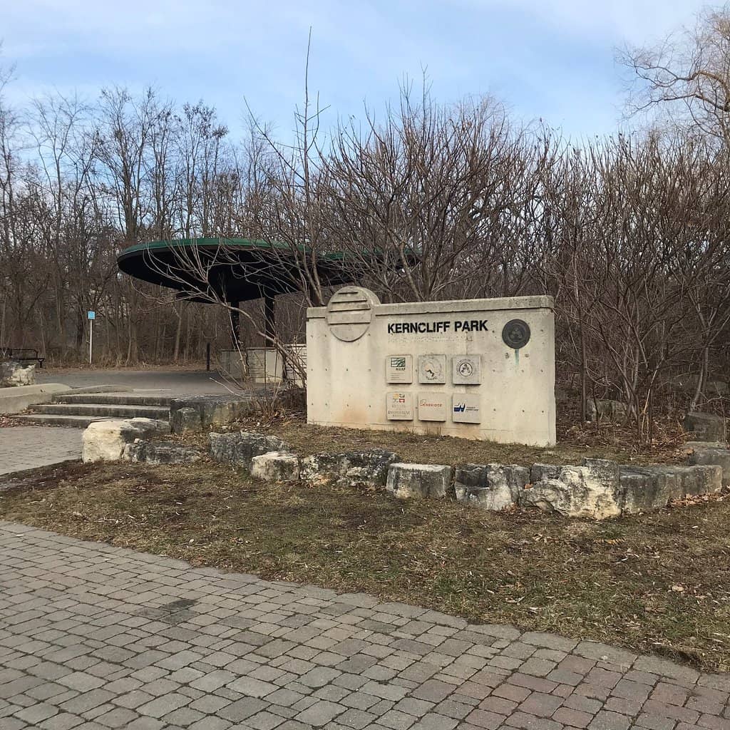 Wooded Trail Network