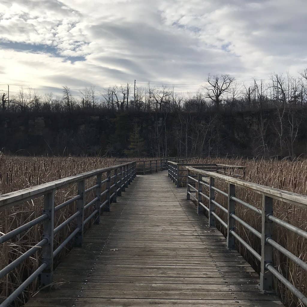 Quarry Swamp Boardwalks