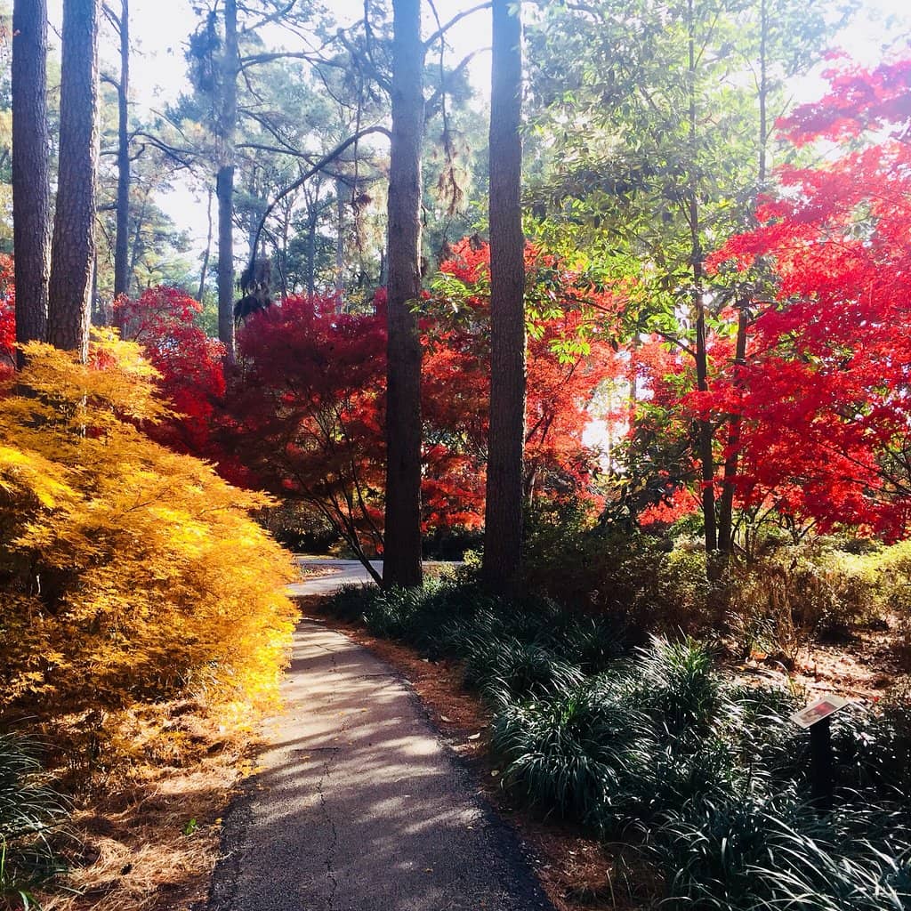 Shade Garden Connection