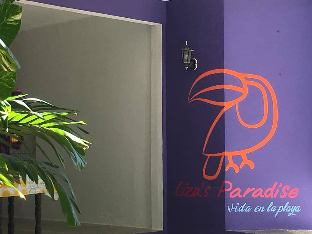 Surfing for Beginners