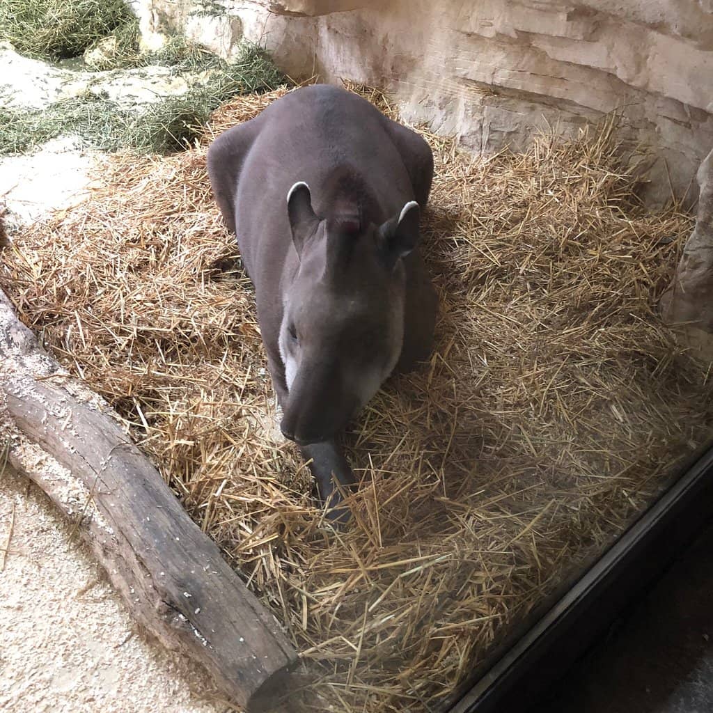 Creative Studio/Atelier