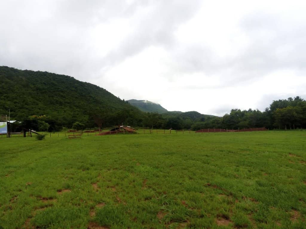 Family-Friendly Camping