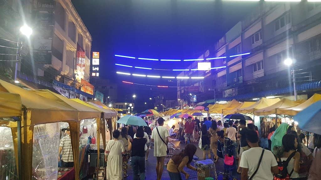 Live Music & Performances