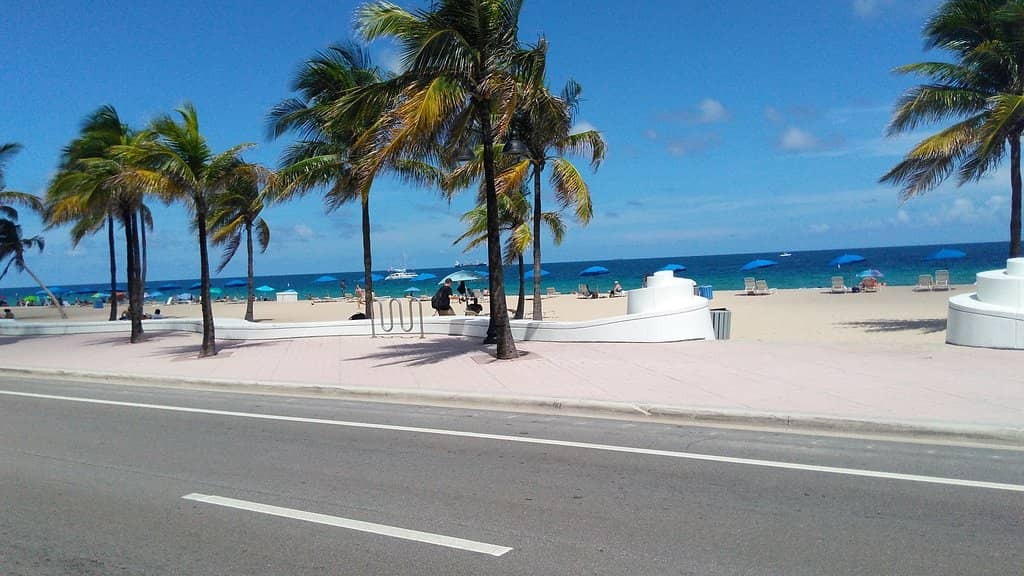 Guardians of the Reef