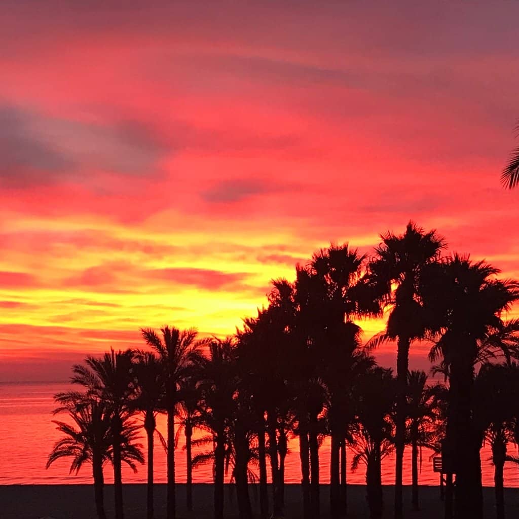 Chiringuito Delights