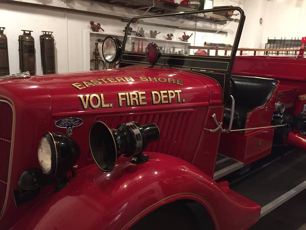 Whimsical Woodcarvings