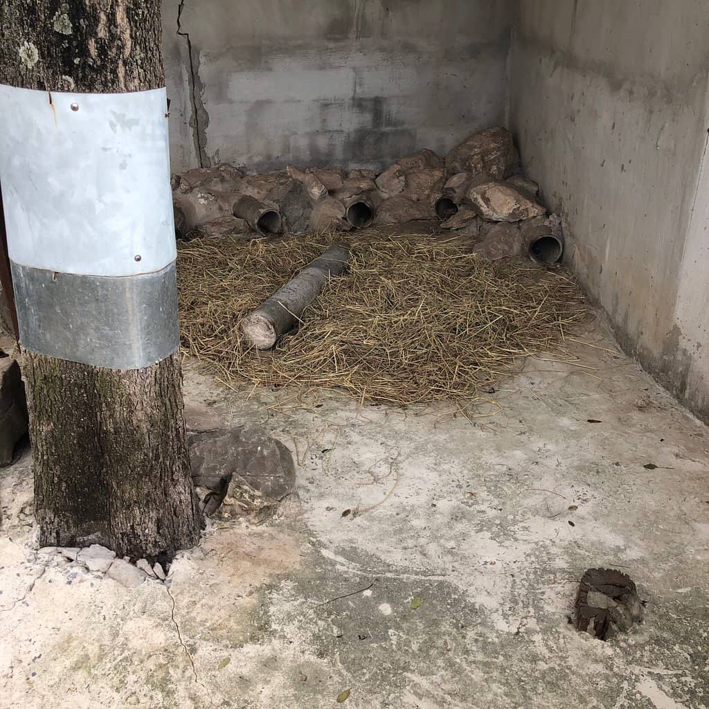 Interactive Animal Feeding