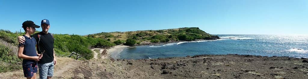 Unique Desert-like Landscape