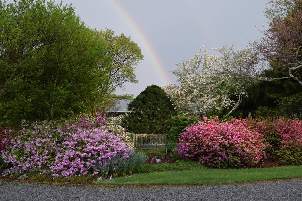 Peaceful Nature Trails
